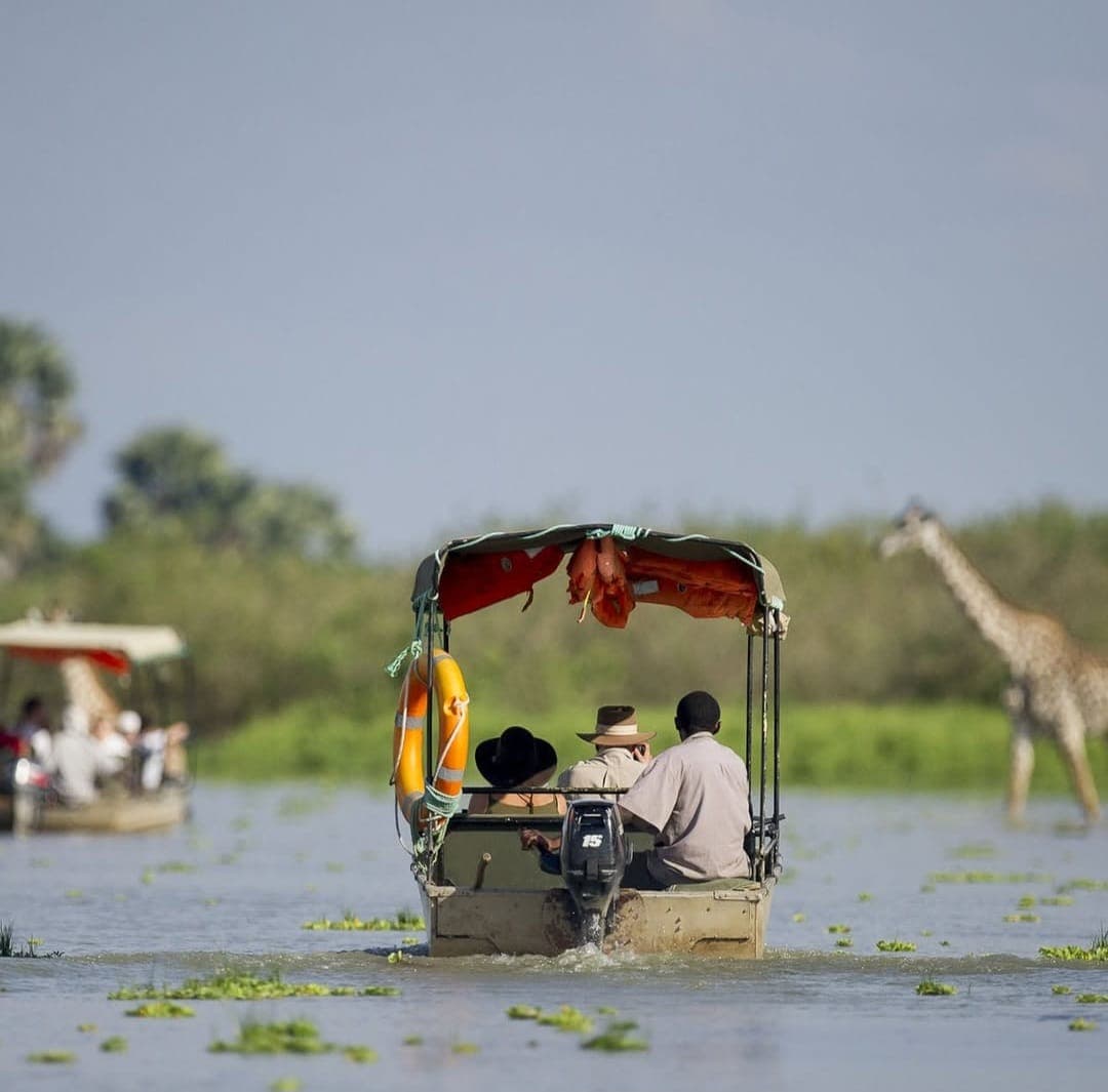 Nyerere Wildlife & Boat Safari