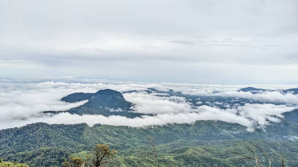 Udzungwa Mountains National Park