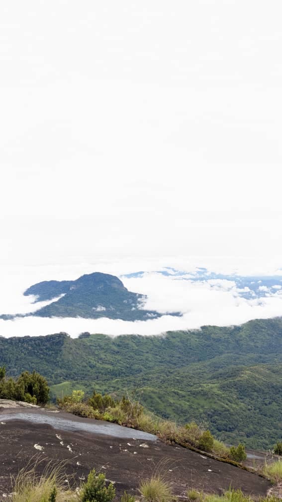 Udzungwa safari photo