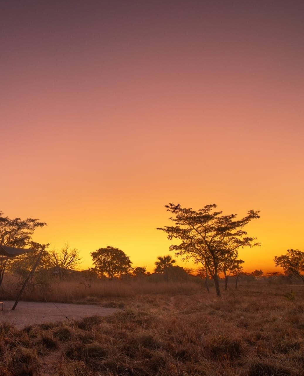 Mikumi National Park