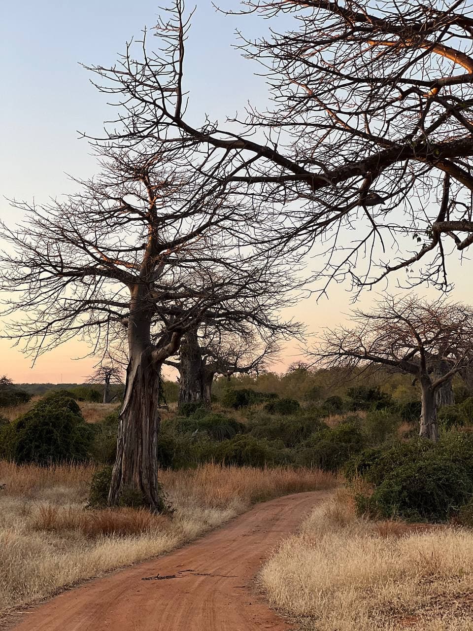 Untamed Routes Africa safari guide