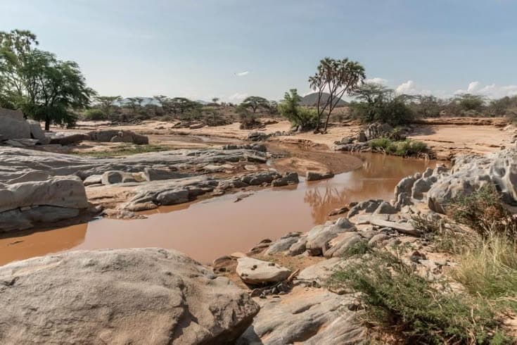 Nyerere National Park