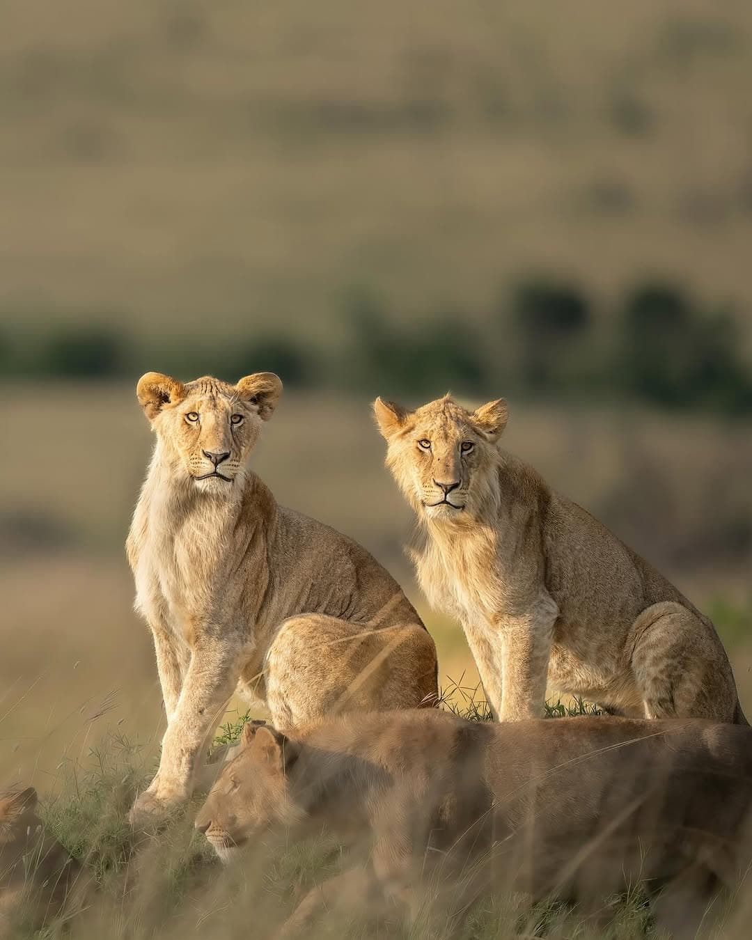 Nyerere National Park
